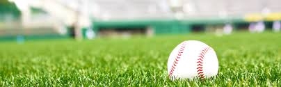 所沢市スポーツ少年団軟式野球大会（順位戦）組み合わ​せ